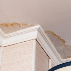 Water damage spots on ceiling