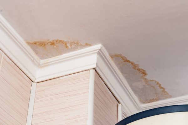 Water damage spots on ceiling