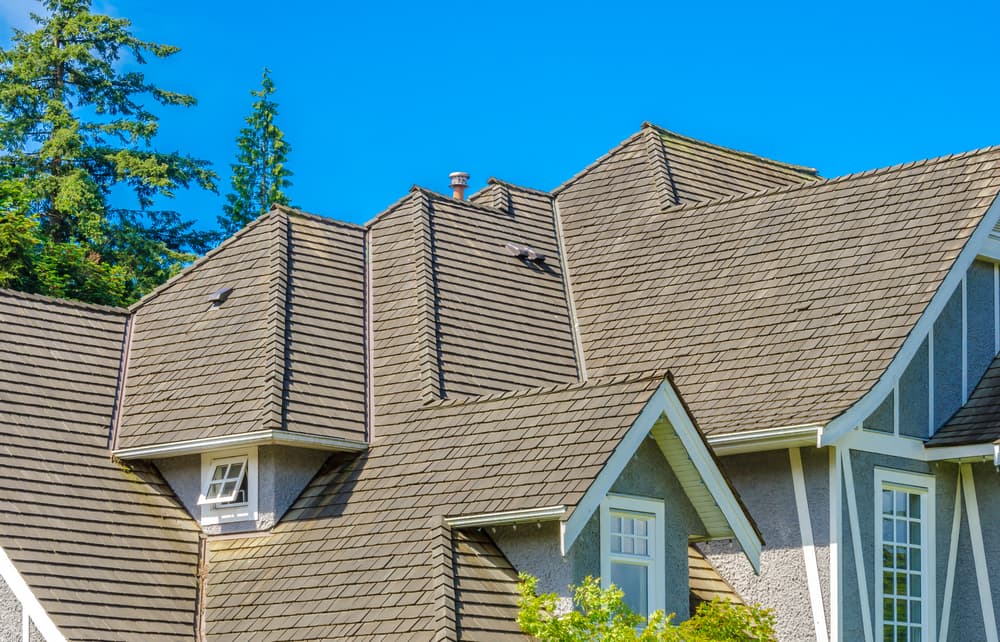 Residential Roofing Services in Minneapolis